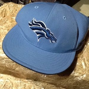 Denver Broncos Alt Color Fitted NFL Cap